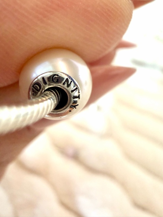 RARE❗️ Retired PANDORA ESSENCE Set of 2 Bracelets & 4 Charms - Picture 13 of 17